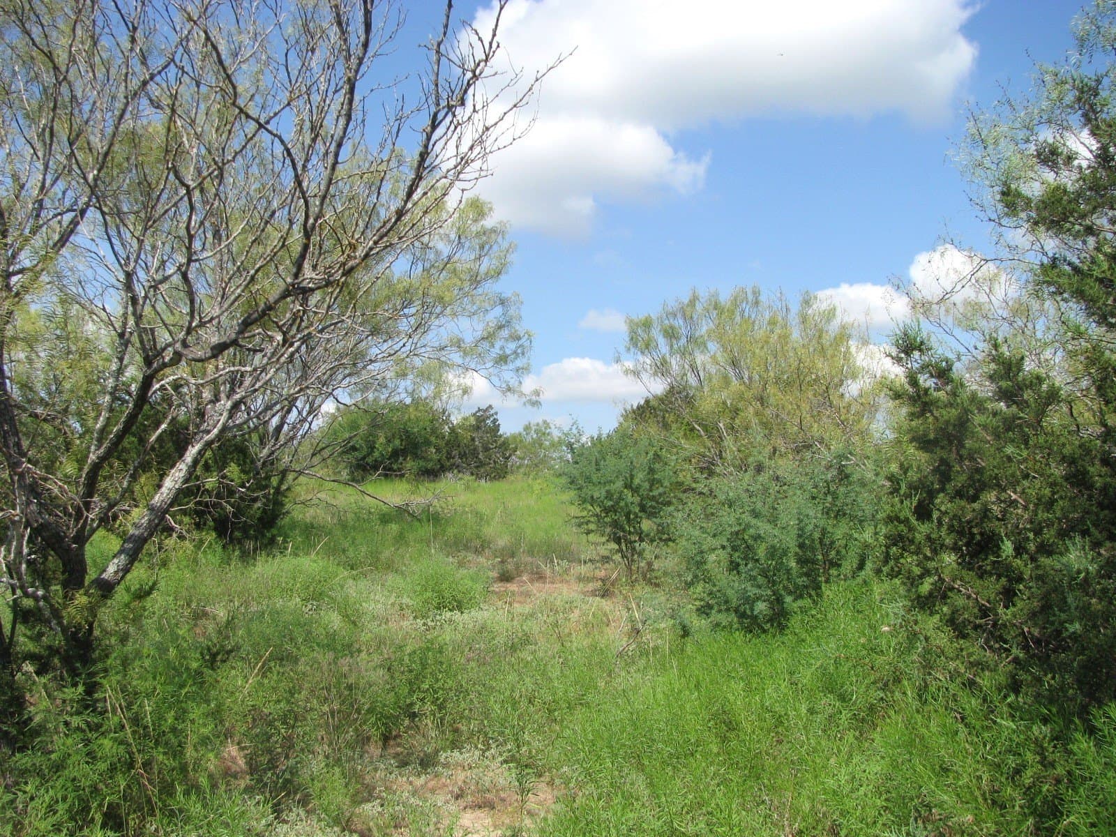 10.7 acres in Hamilton County - photo 10