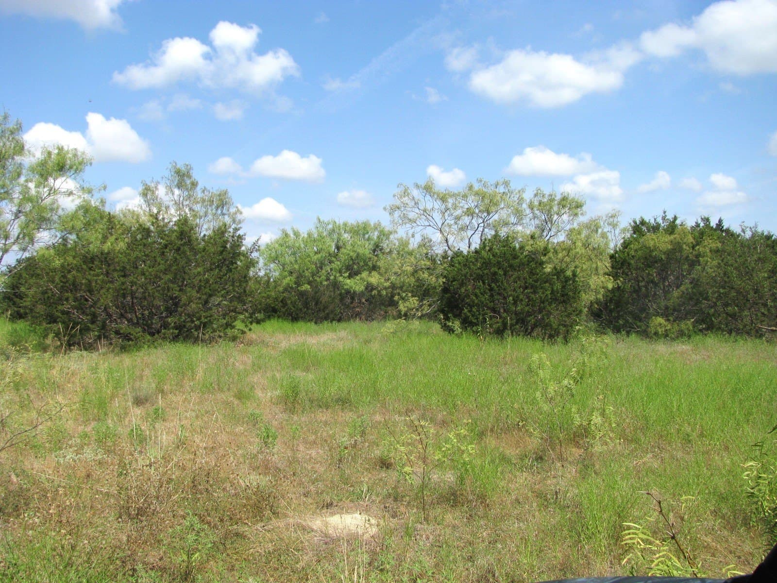 10.7 acres in Hamilton County - photo 14