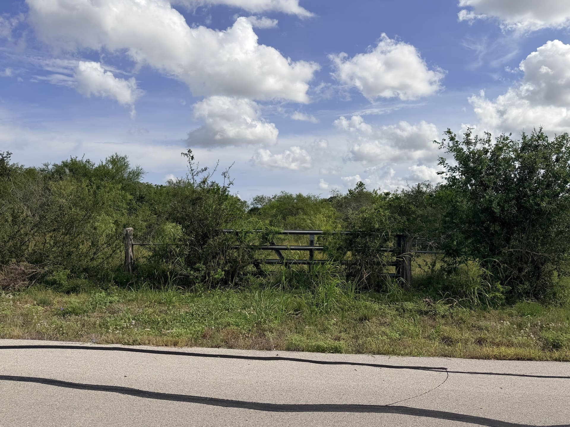 103.47 acres in DeWitt County - photo 12
