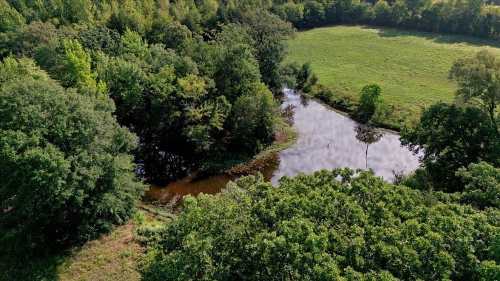35 acres in Wood County - photo 6