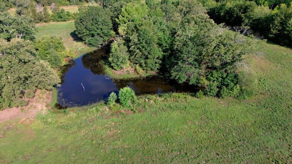 35 acres in Wood County - photo 7