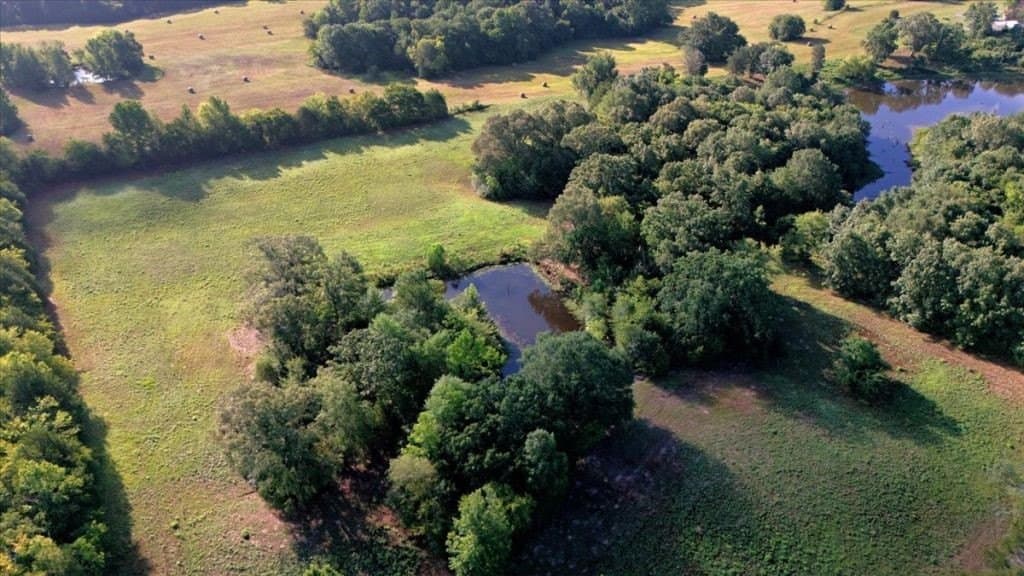 35 acres in Wood County featured view