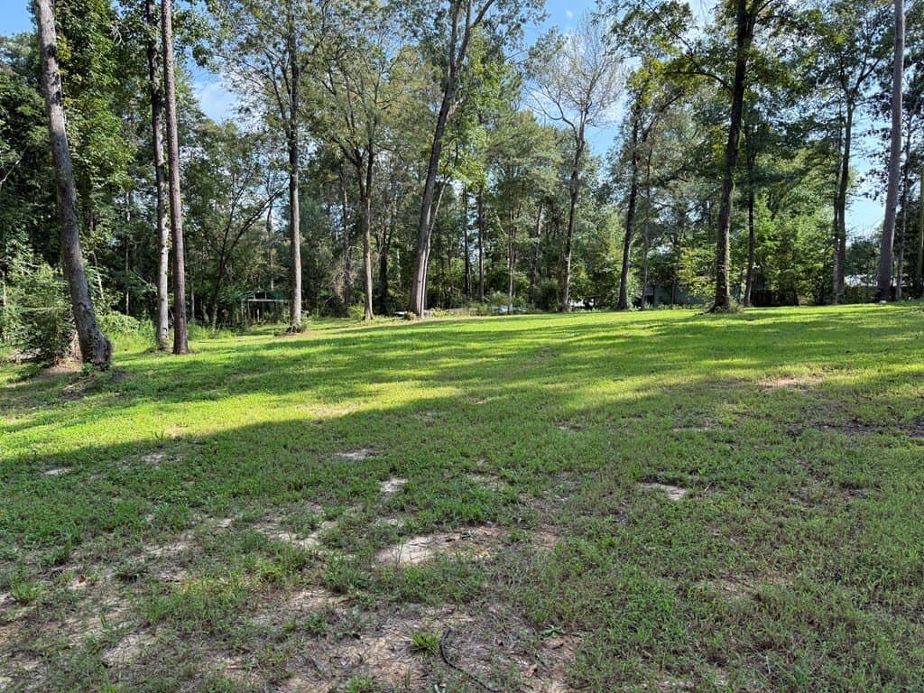 0.48 acres in Texas County - photo 6