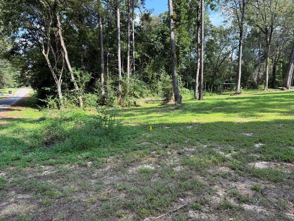 0.48 acres in Texas County featured view