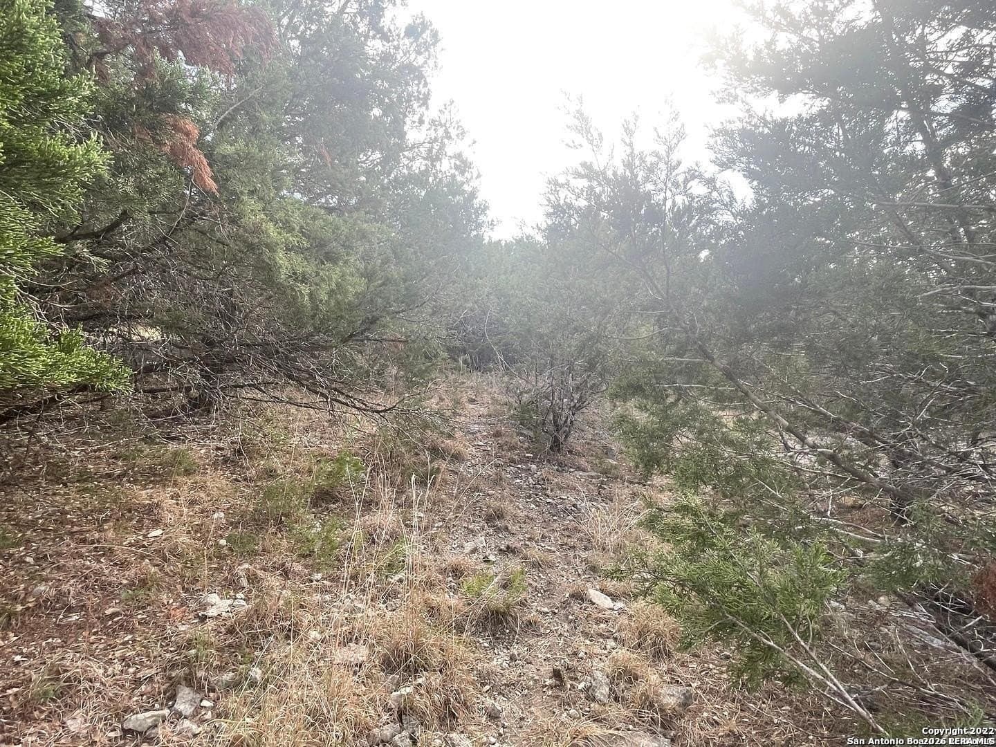 0.43 acres in Bexar County - photo 11