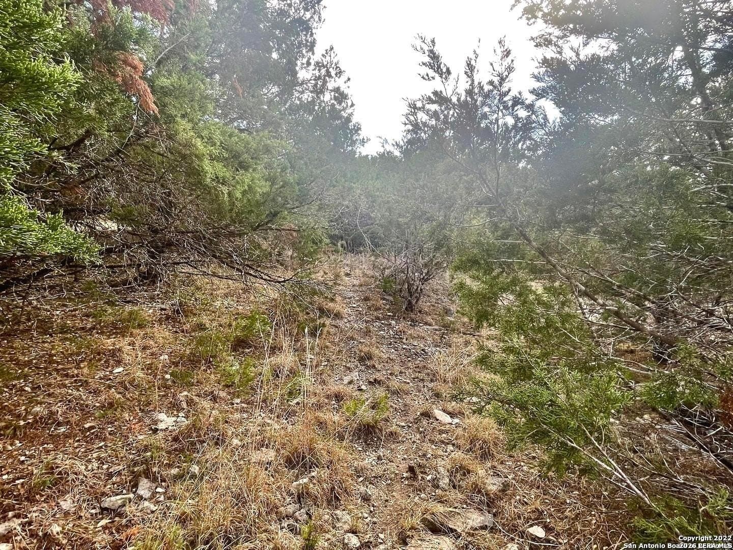 0.43 acres in Bexar County - photo 7