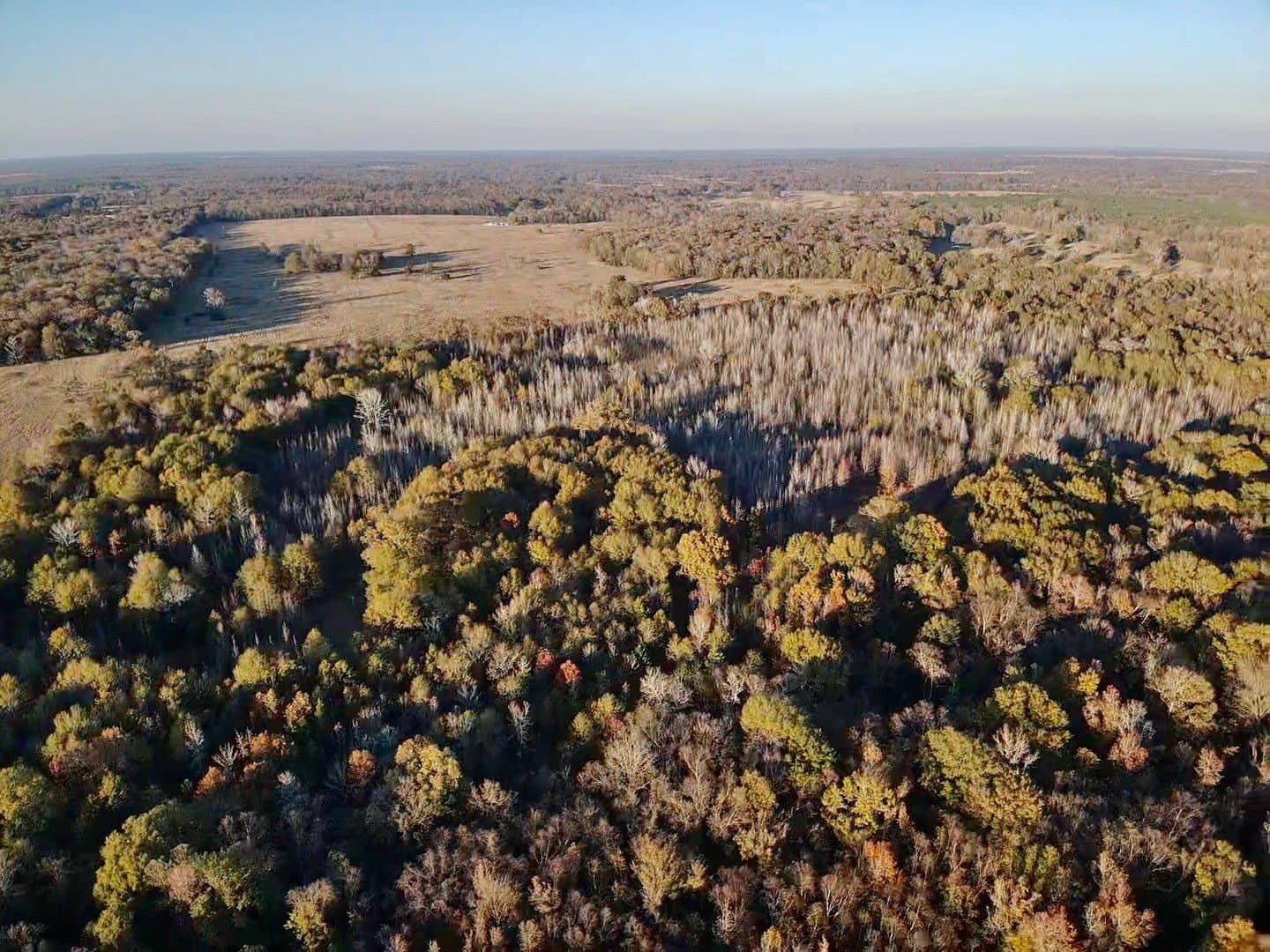 116 acres in Red River (TX) County - photo 22