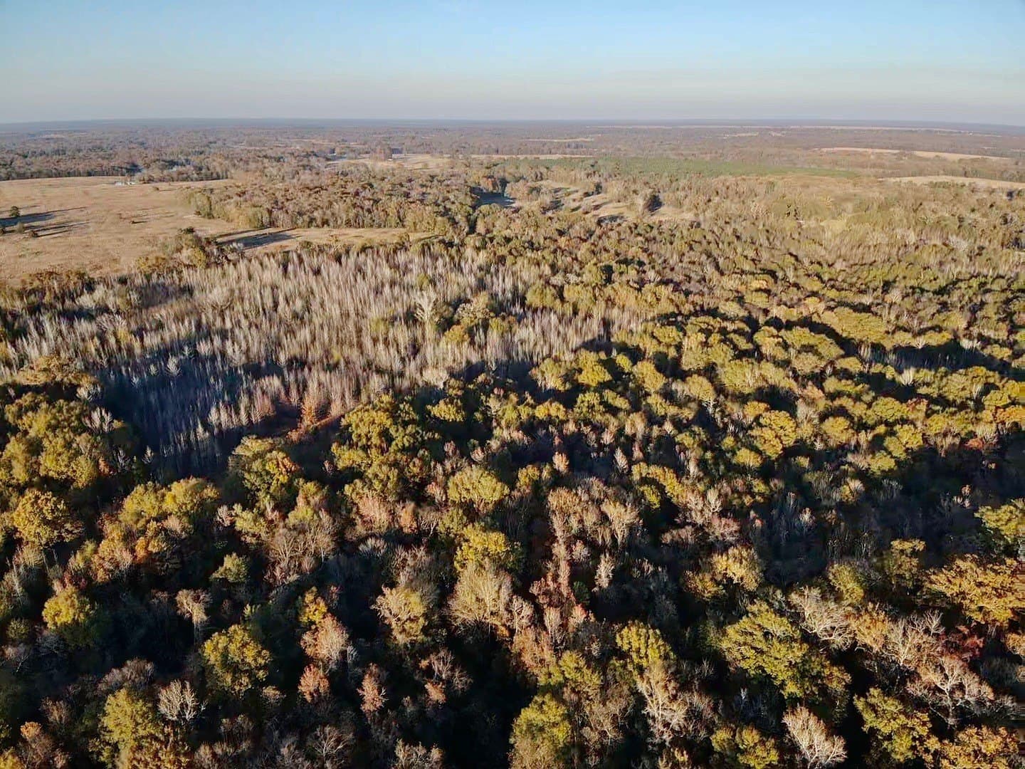 116 acres in Red River (TX) County - photo 23