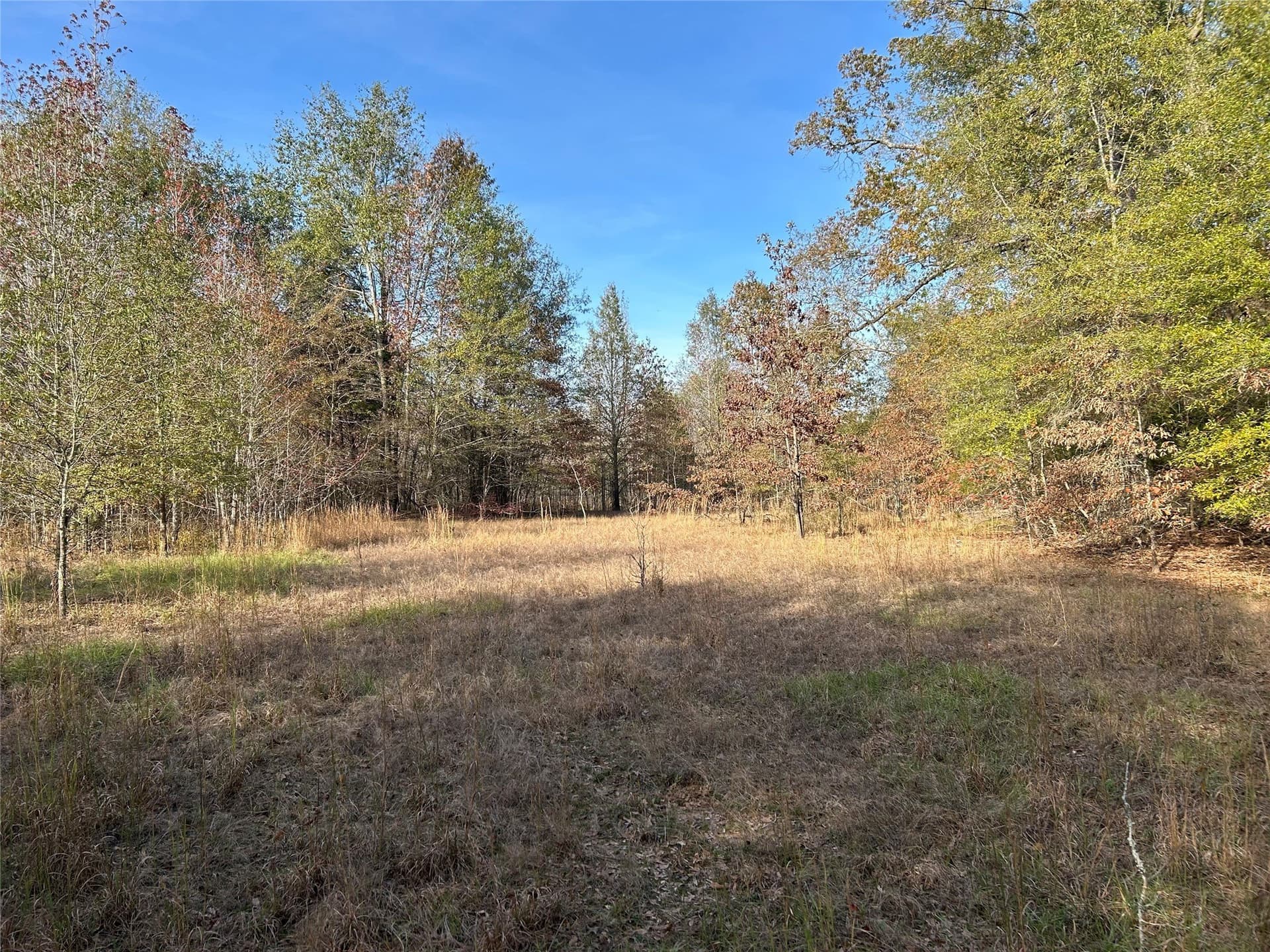 116 acres in Red River (TX) County - photo 10