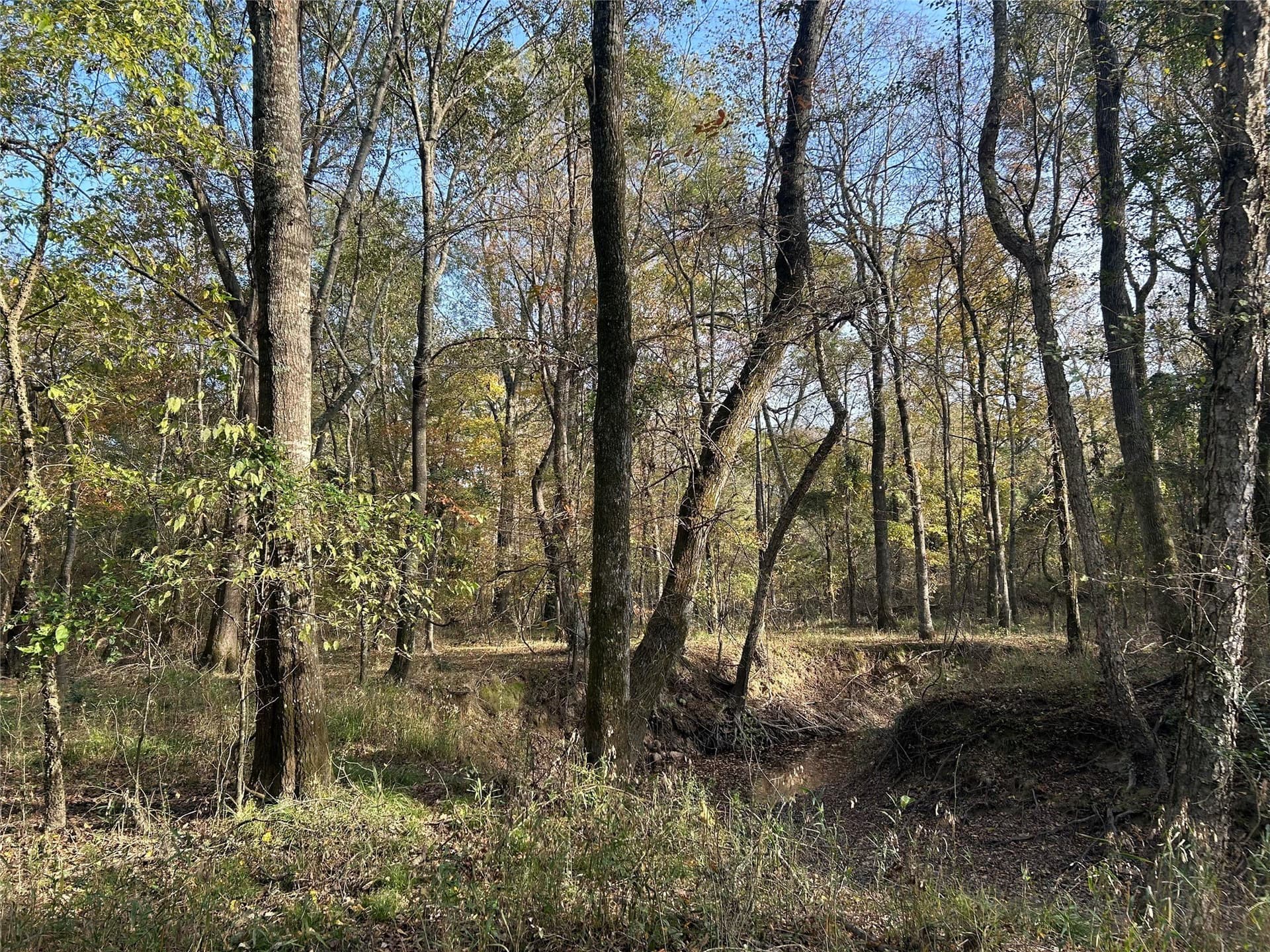 116 acres in Red River (TX) County