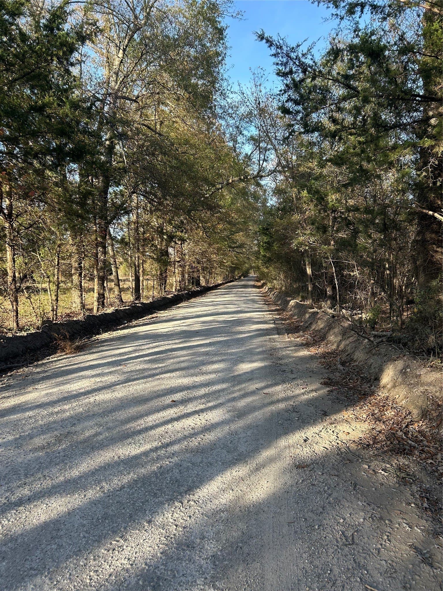 116 acres in Red River (TX) County - photo 5