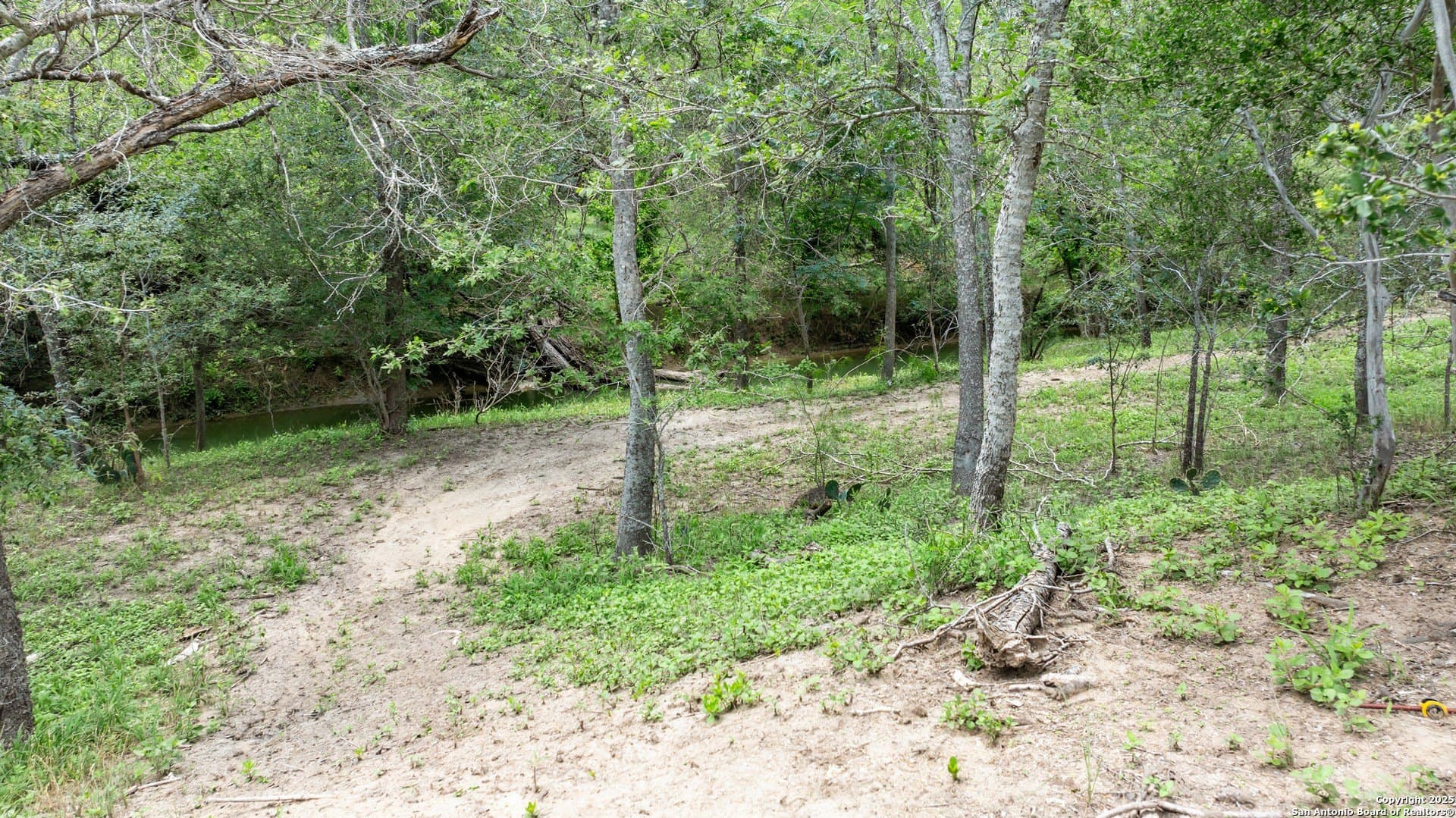 14.23 acres in Wilson County featured view