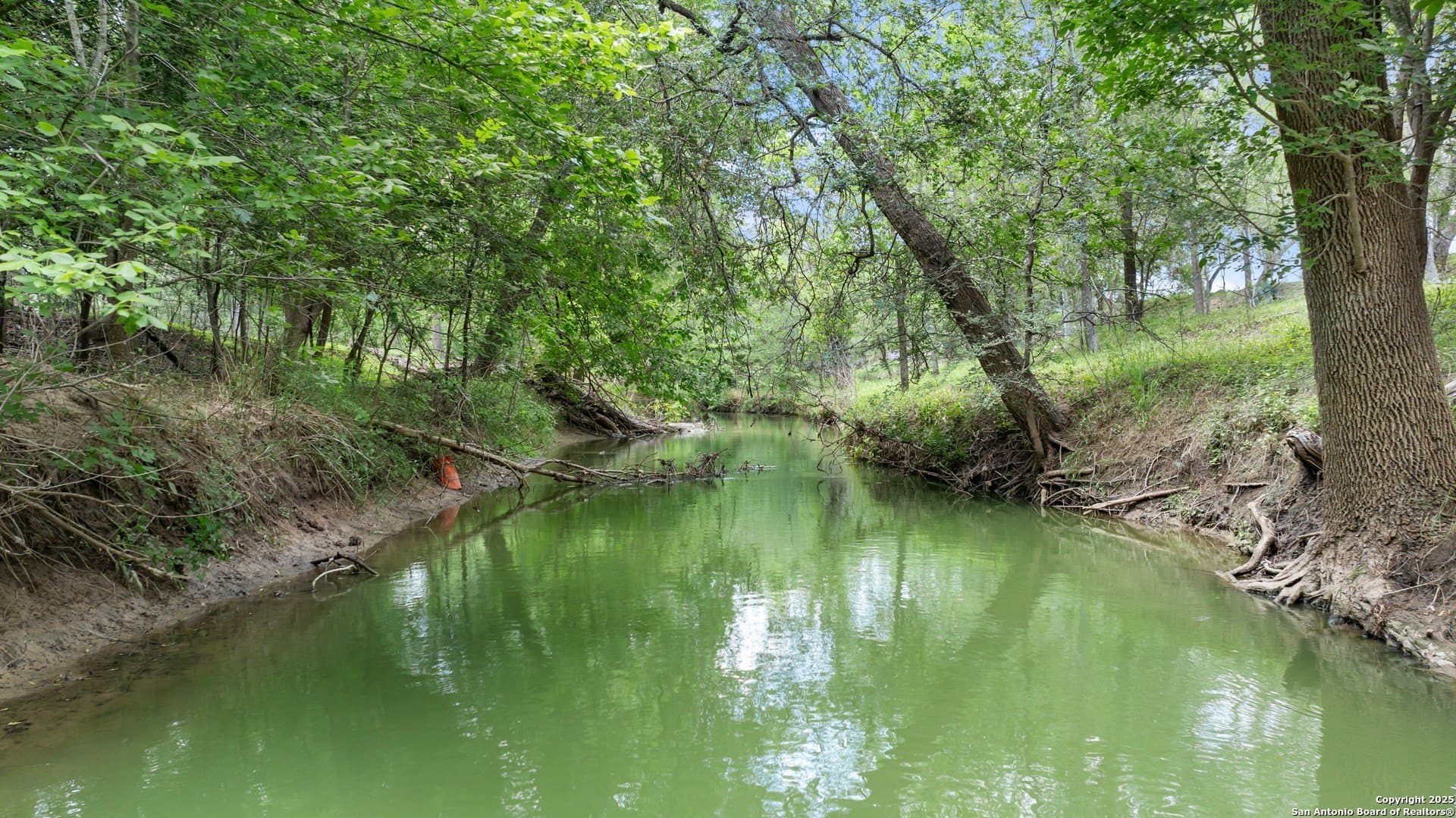 14.23 acres in Wilson County gallery image 2