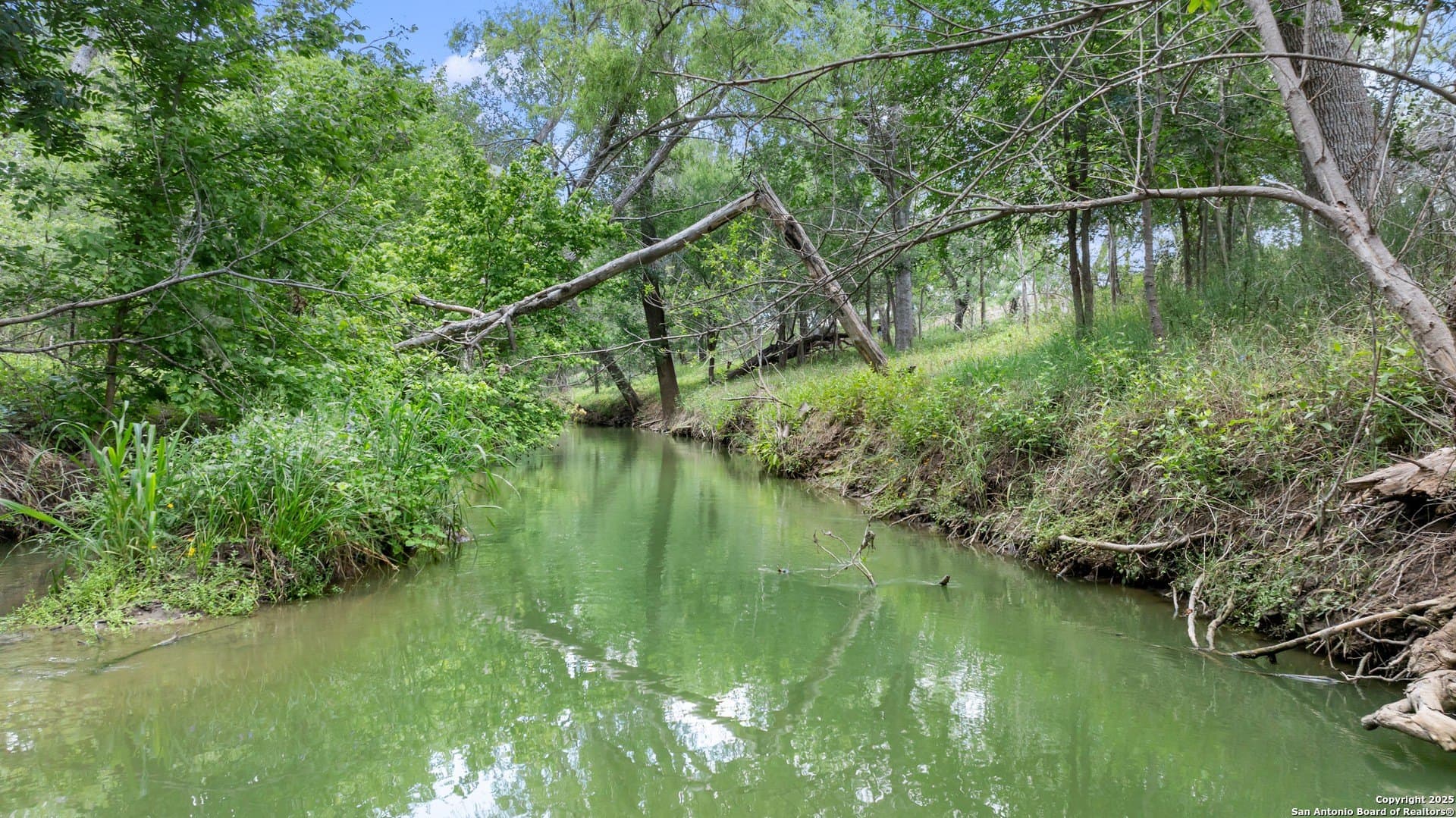 14.23 acres in Wilson County gallery image 3