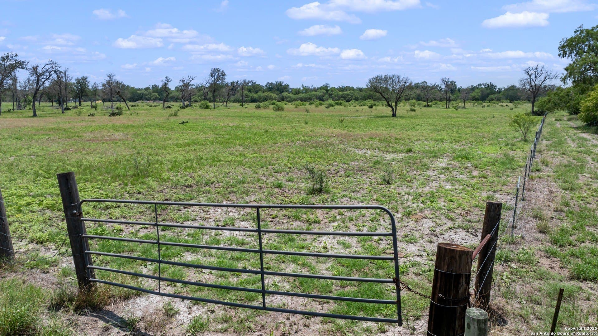 14.23 acres in Wilson County - photo 6
