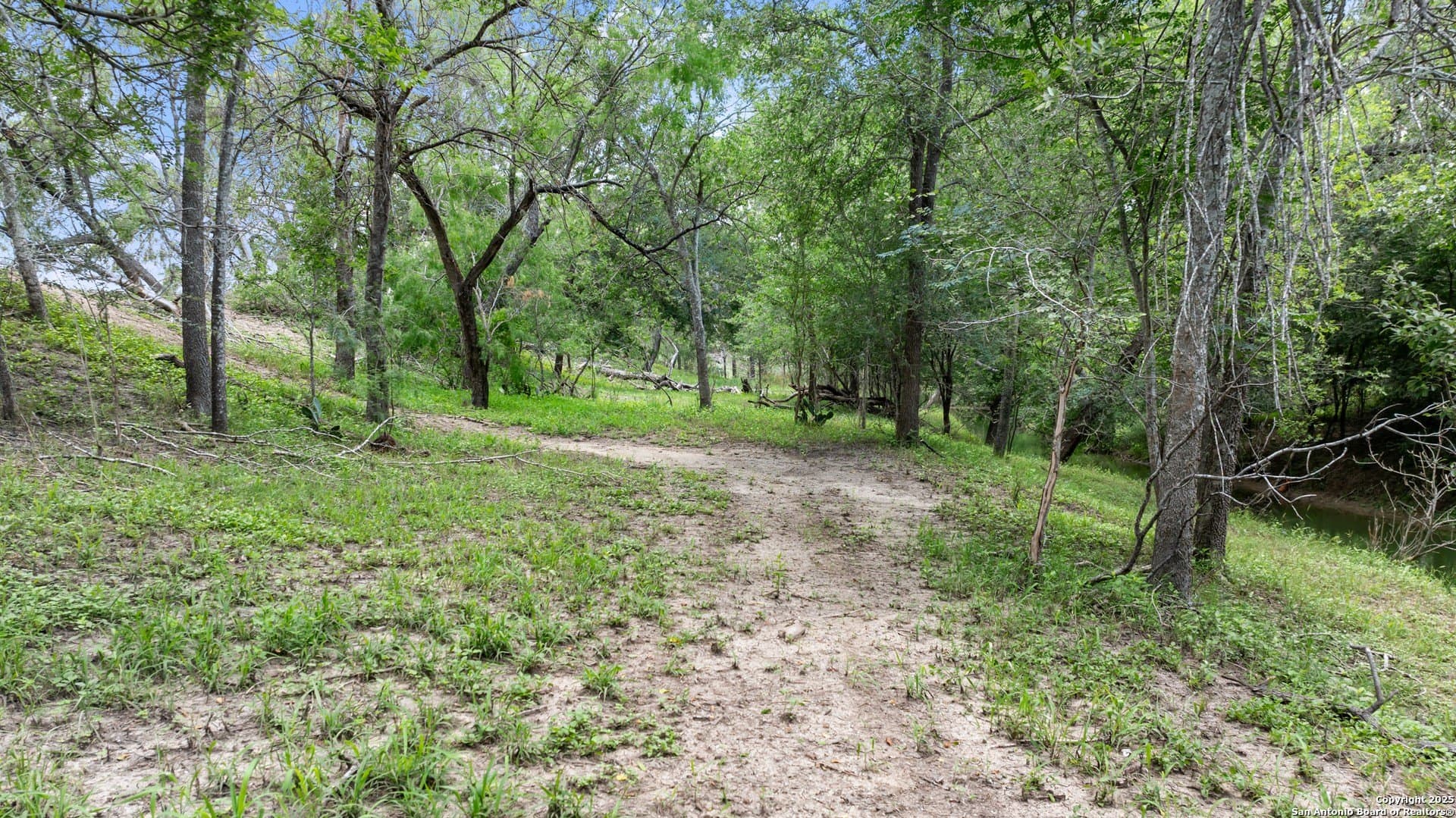 14.23 acres in Wilson County gallery image 4