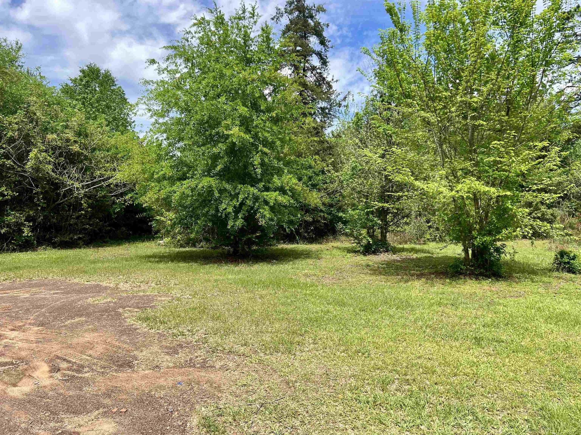 10.69 acres in Rusk County gallery image 4