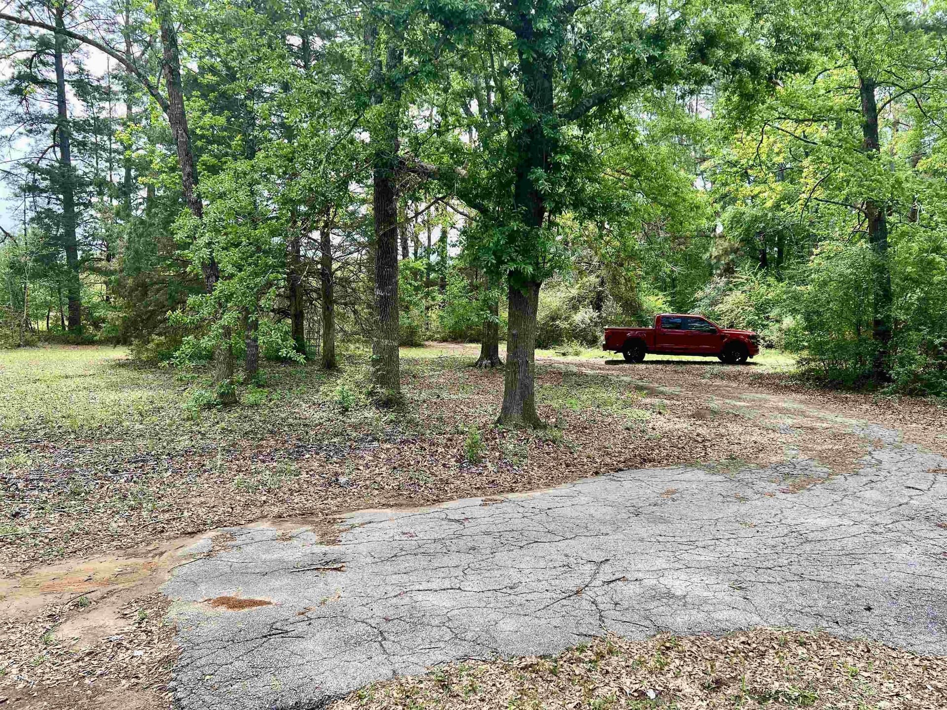 10.69 acres in Rusk County gallery image 3