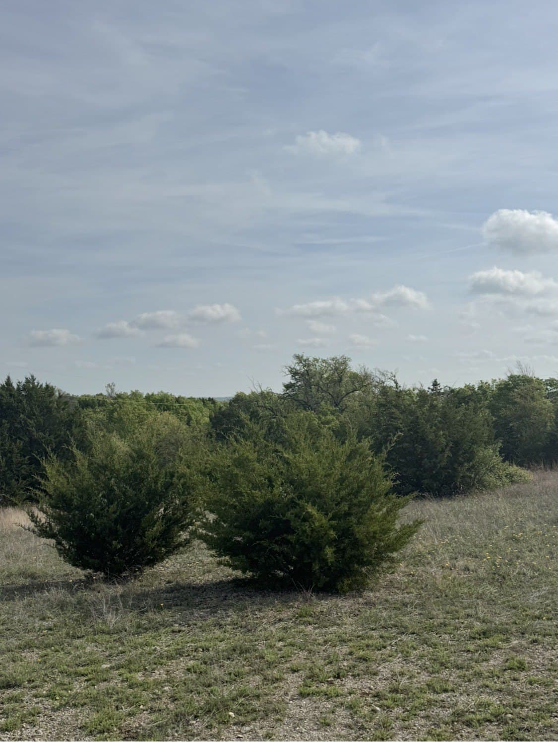 5.54 acres in Parker County - photo 12
