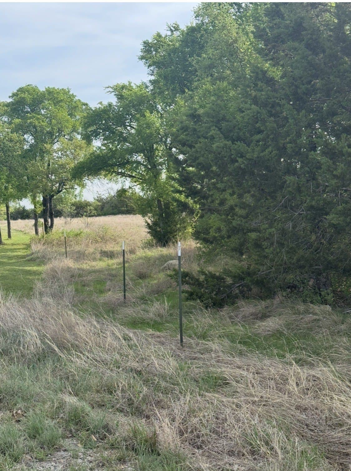 5.54 acres in Parker County - photo 9