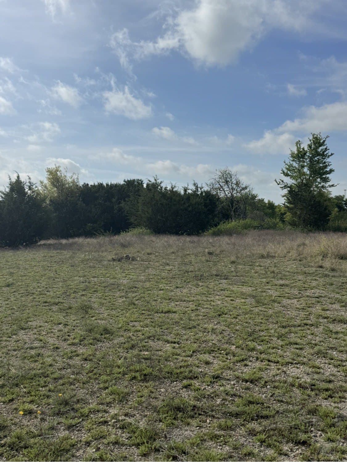5.54 acres in Parker County - photo 8