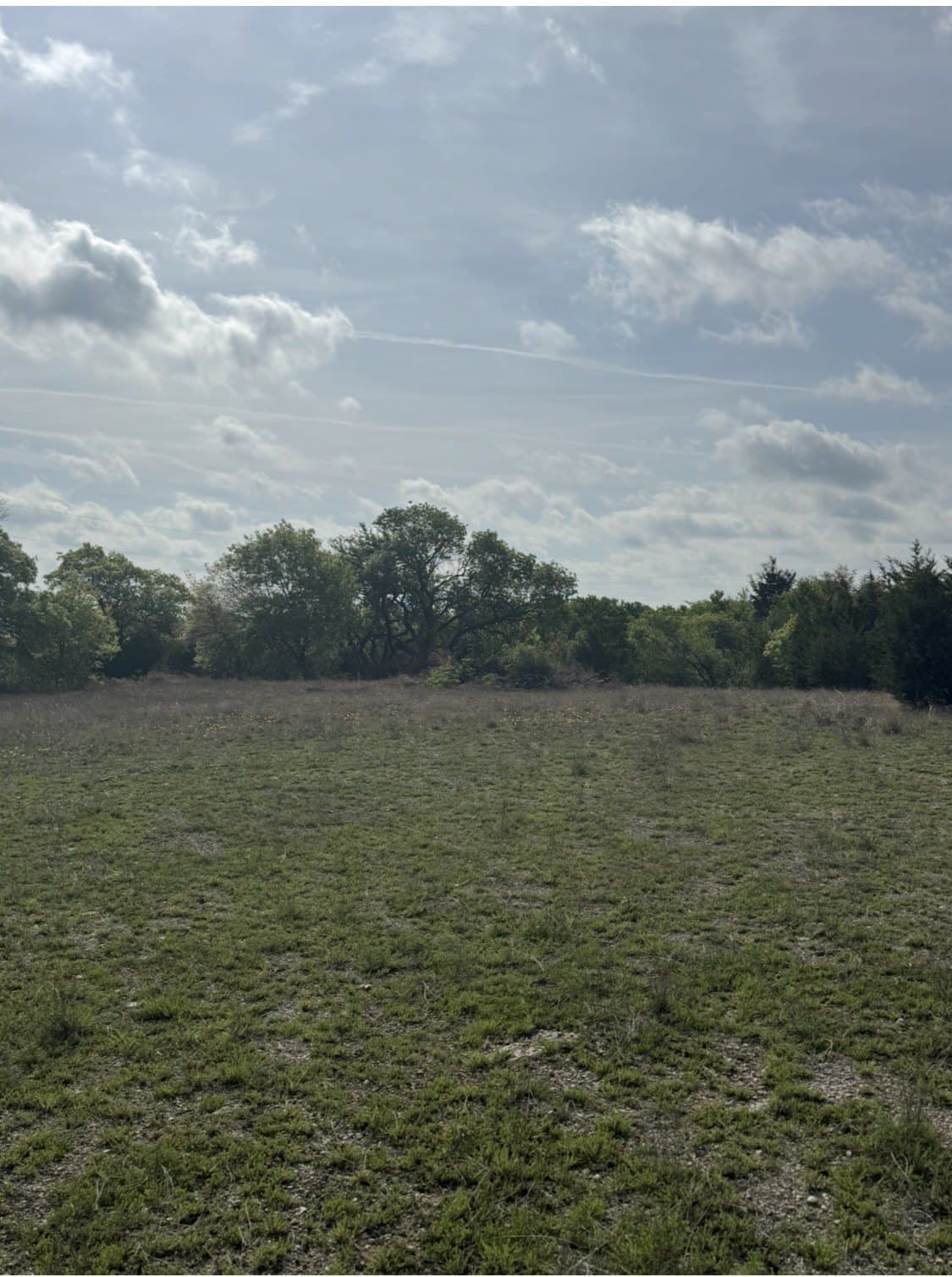 5.54 acres in Parker County - photo 10