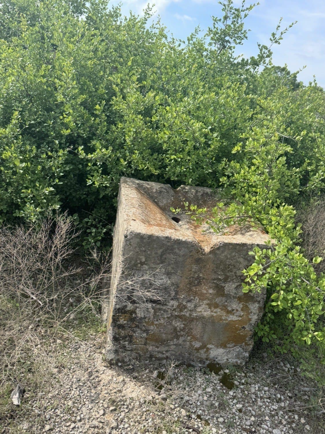 5.54 acres in Parker County - photo 6