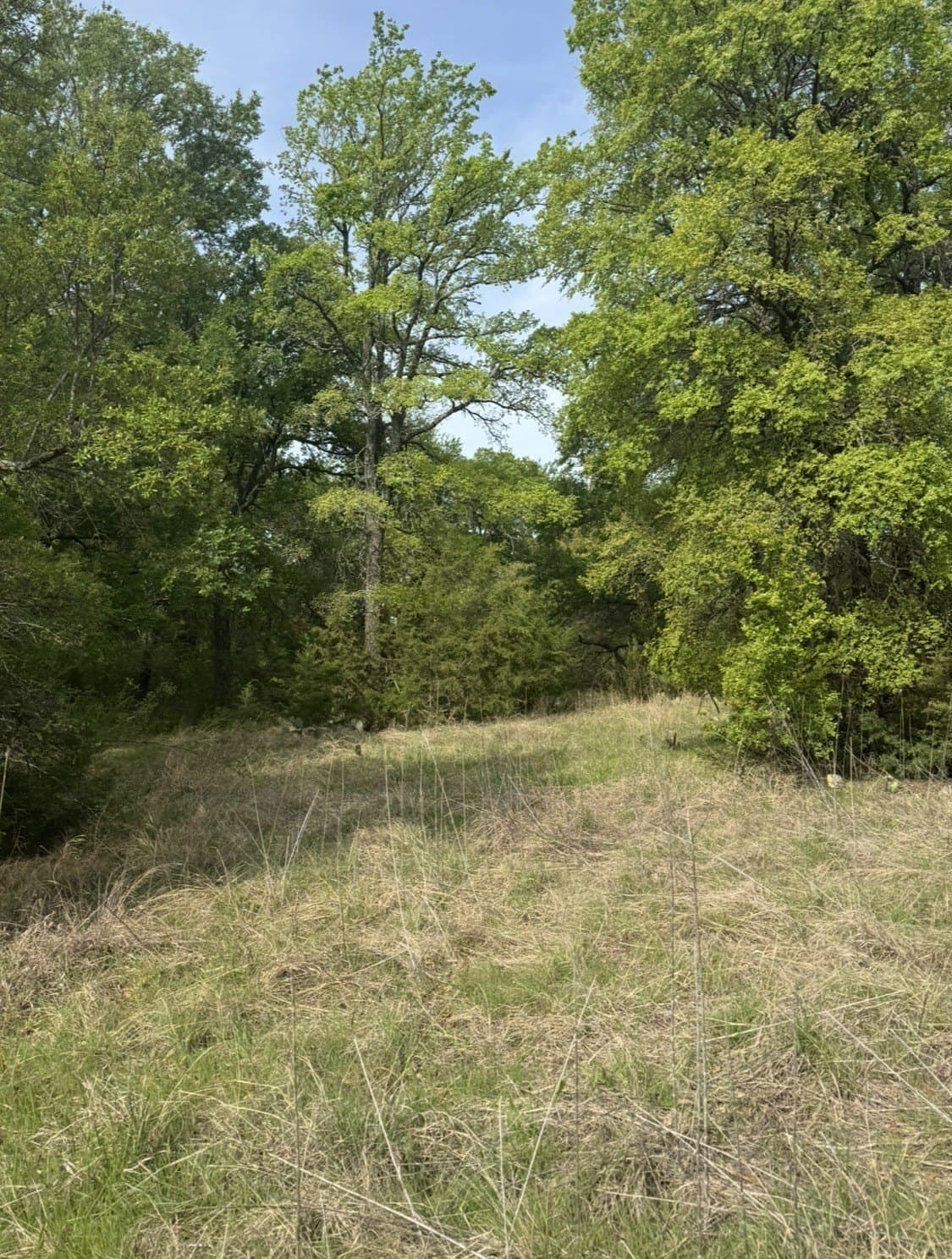 5.54 acres in Parker County - photo 4