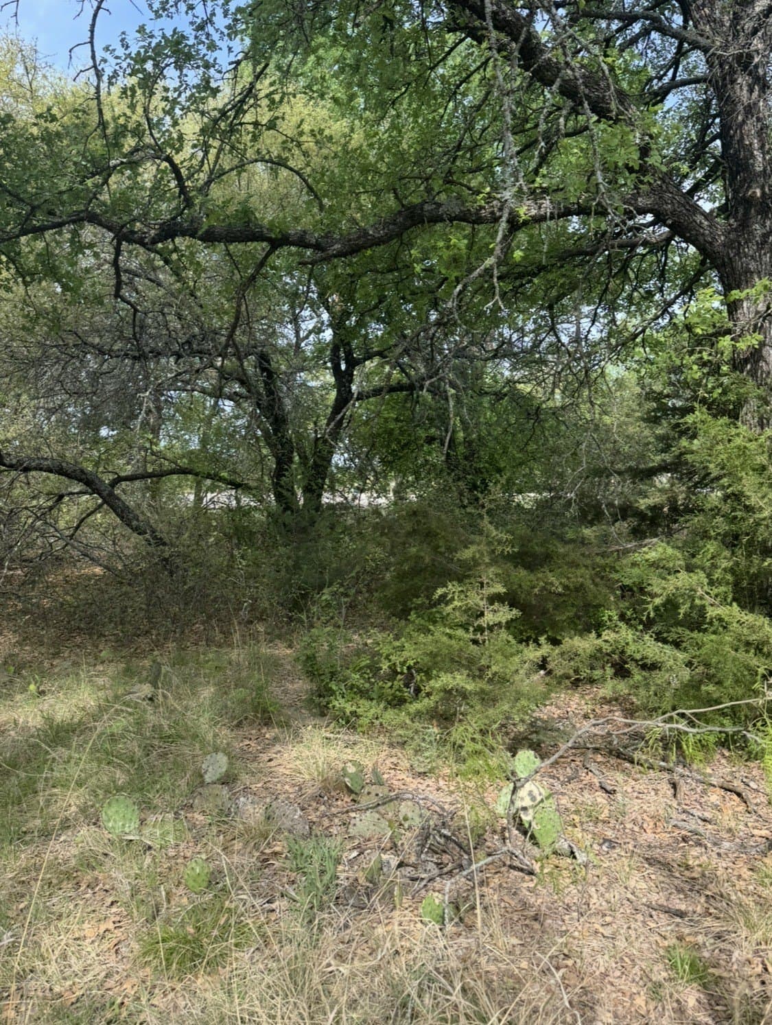5.54 acres in Parker County - photo 7