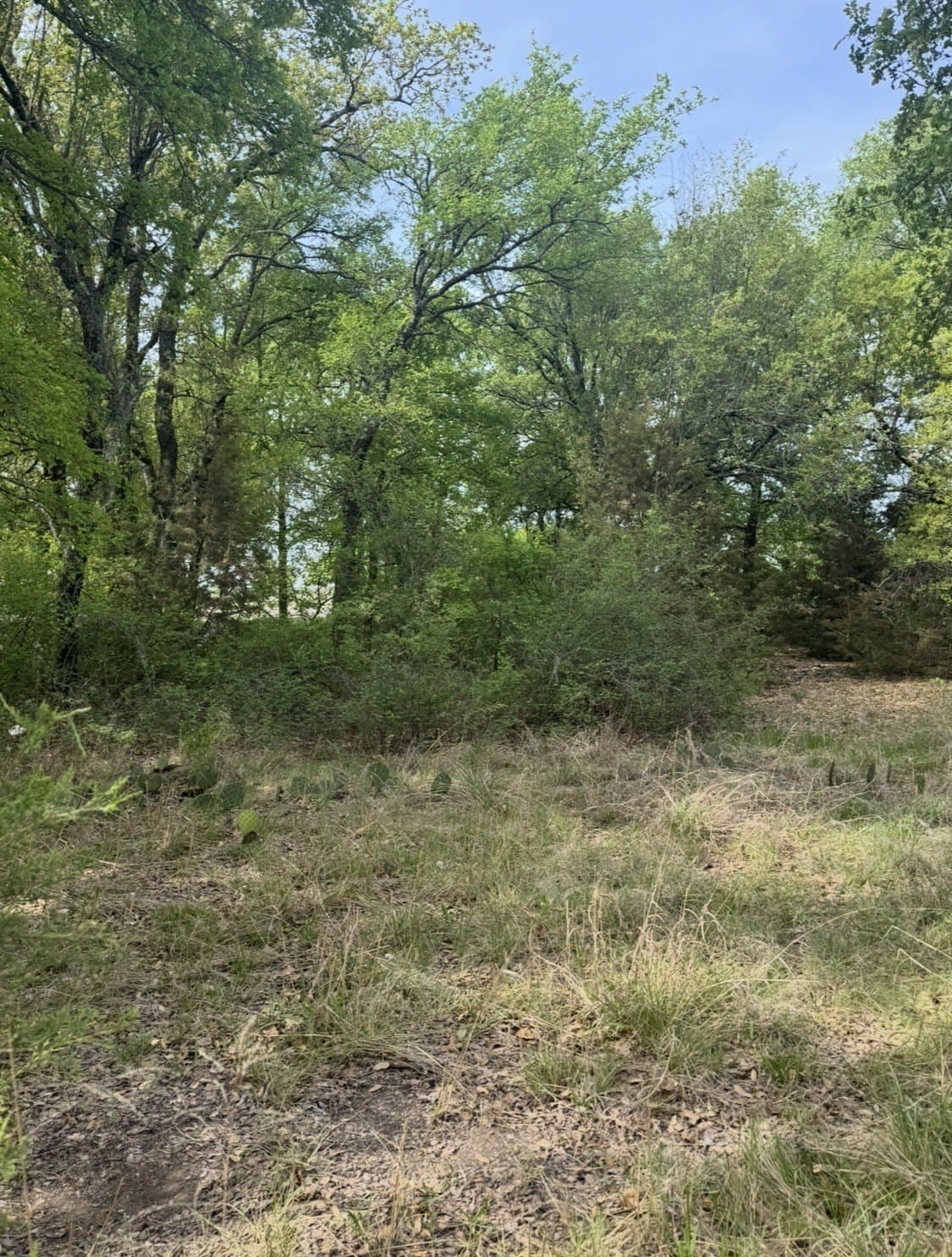 5.54 acres in Parker County - photo 3