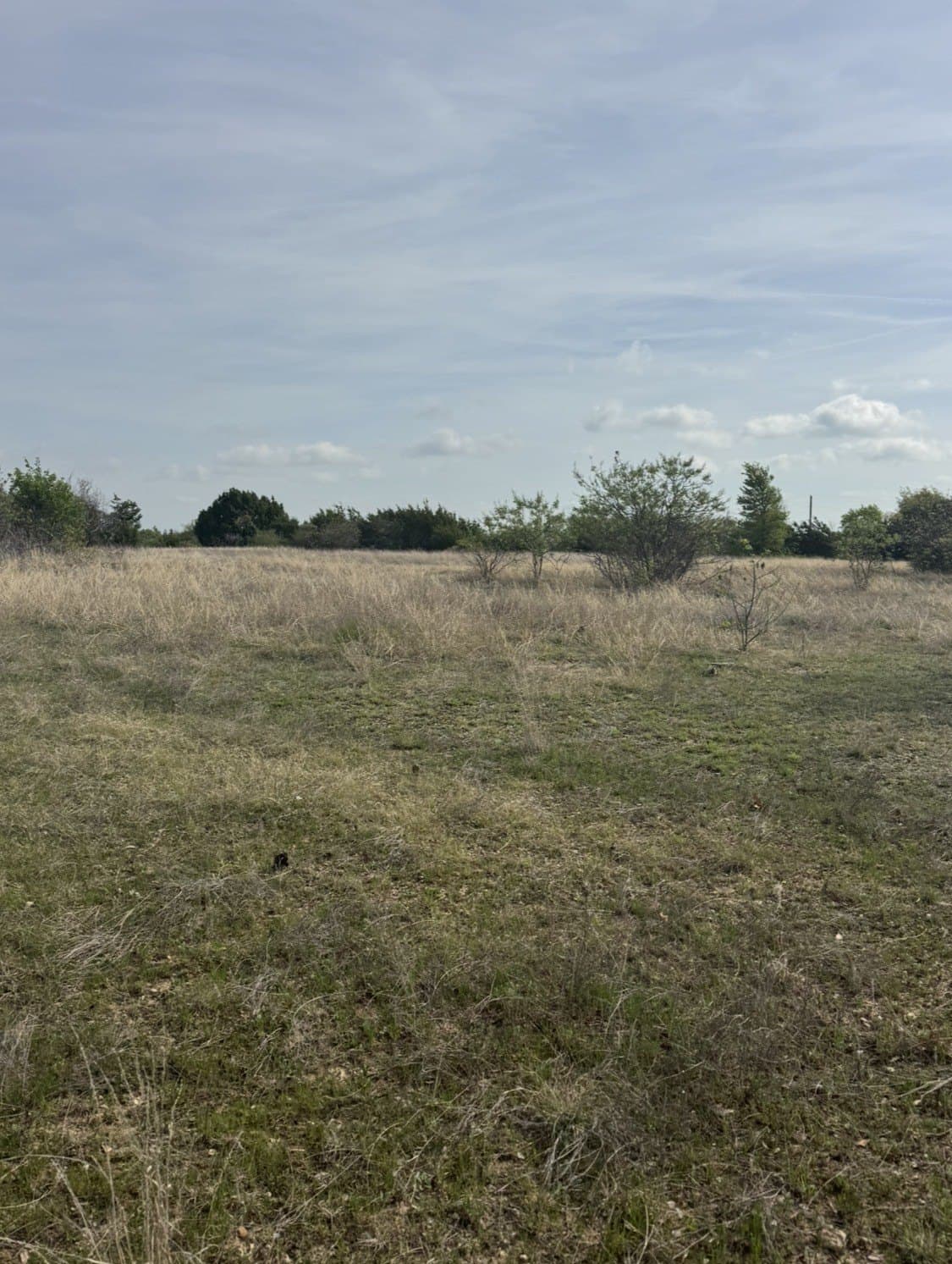5.54 acres in Parker County - photo 5