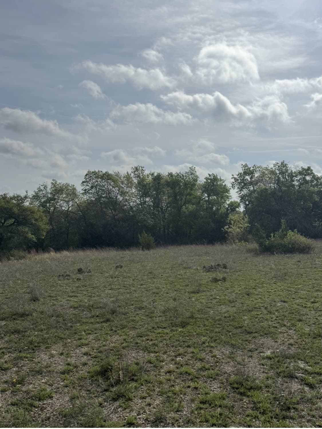 5.54 acres in Parker County - photo 11