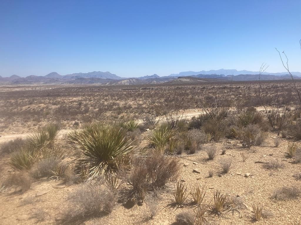 40 acres in Brewster County - photo 21