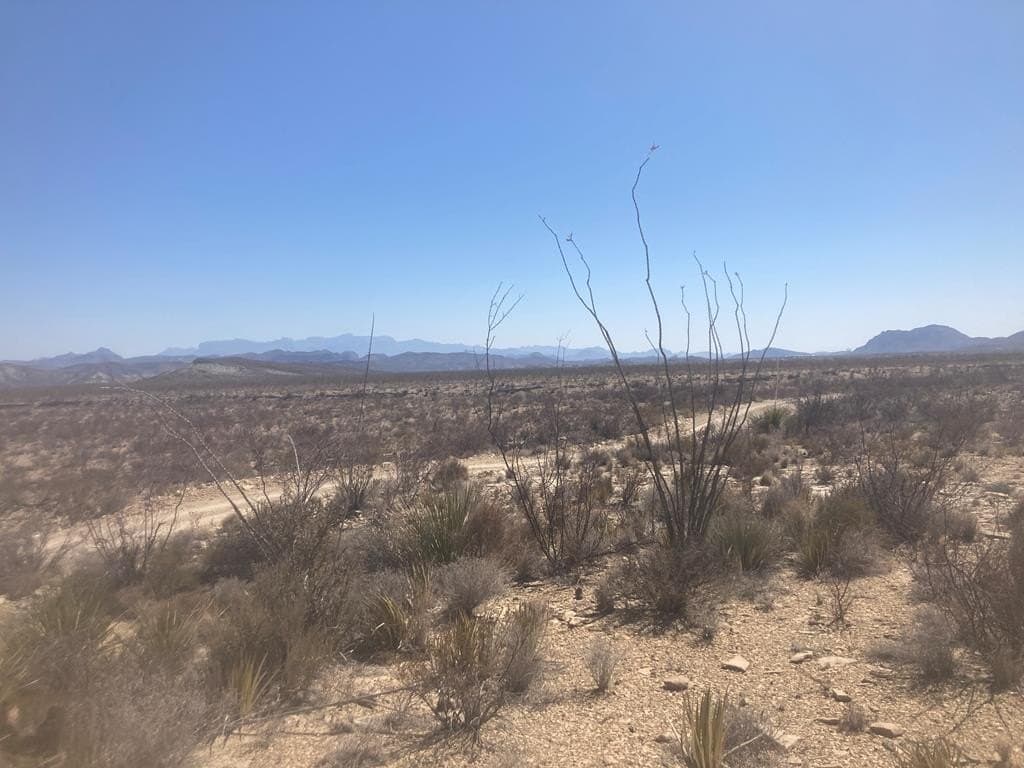 40 acres in Brewster County - photo 19