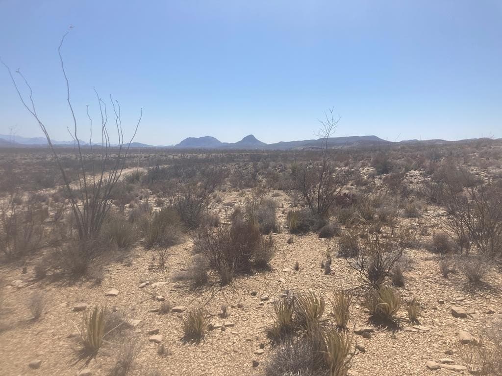 40 acres in Brewster County - photo 20