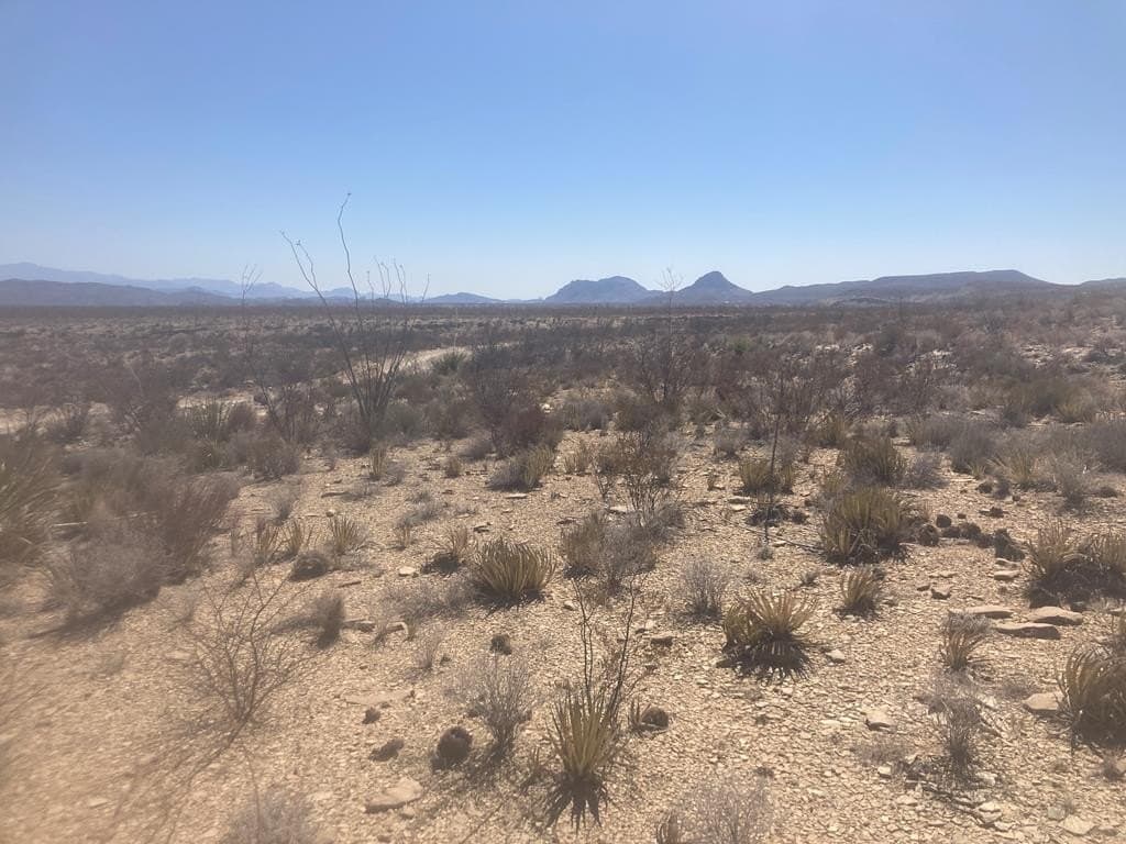 40 acres in Brewster County - photo 25