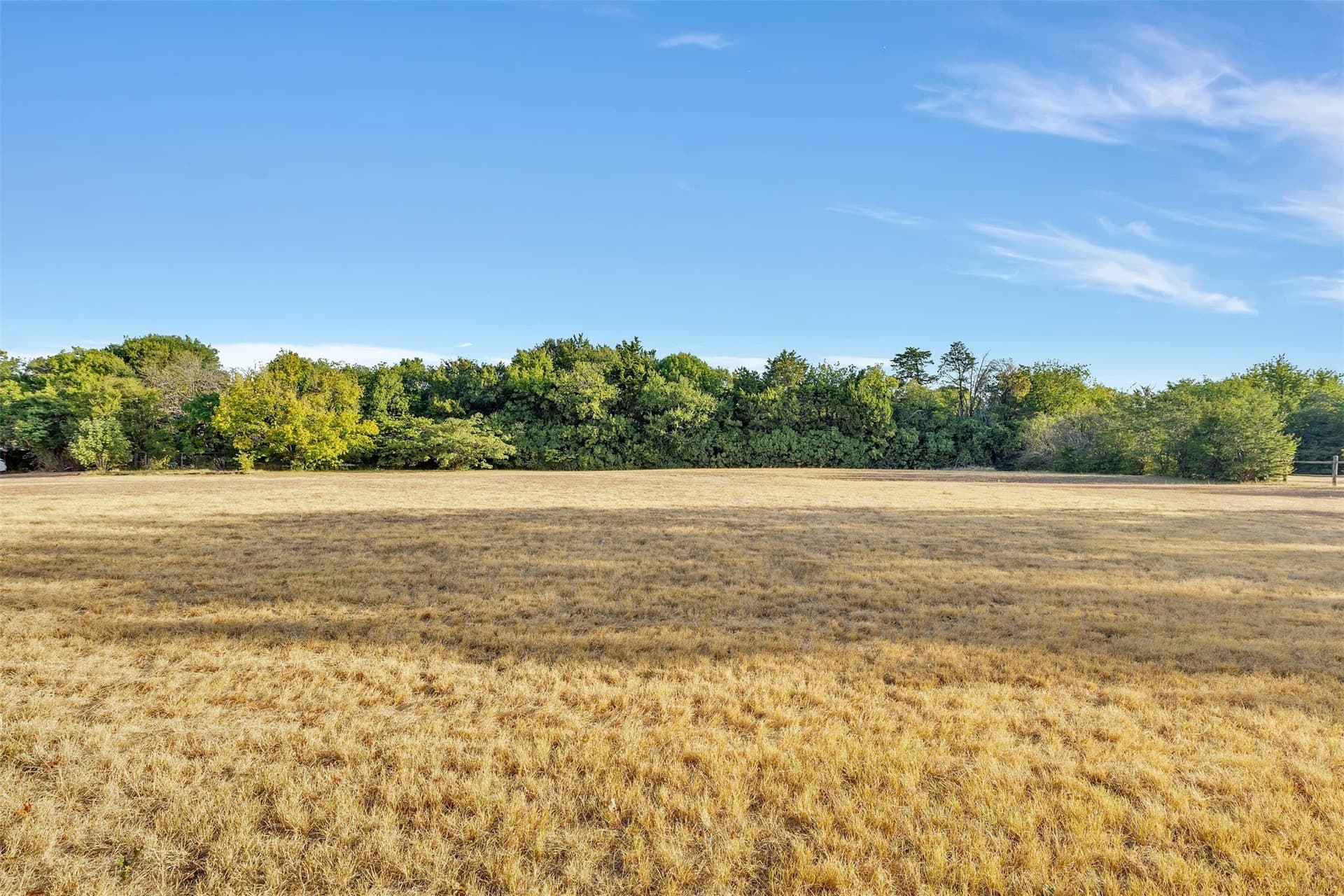 1.17 acres in Dallas County - photo 3