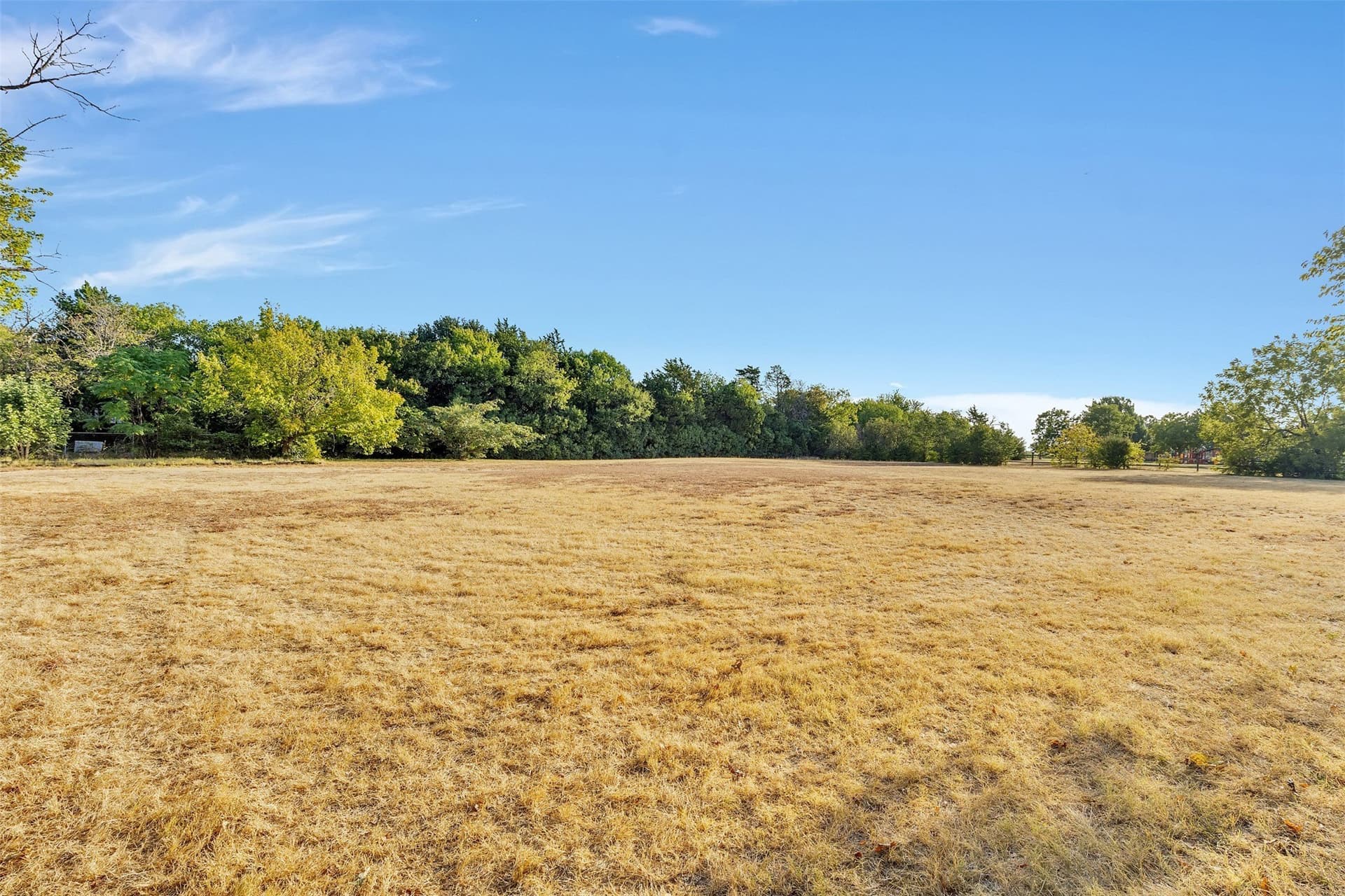 1.17 acres in Dallas County - photo 4