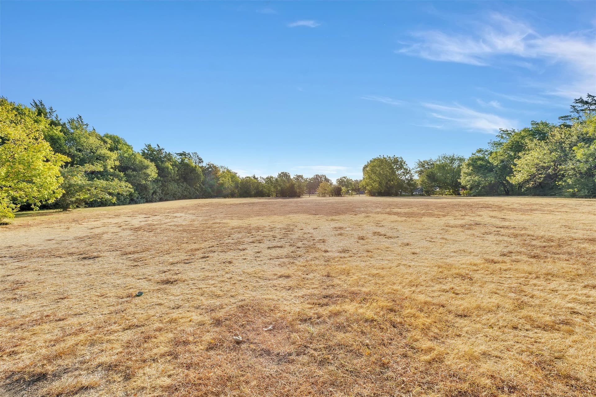 1.17 acres in Dallas County - photo 5