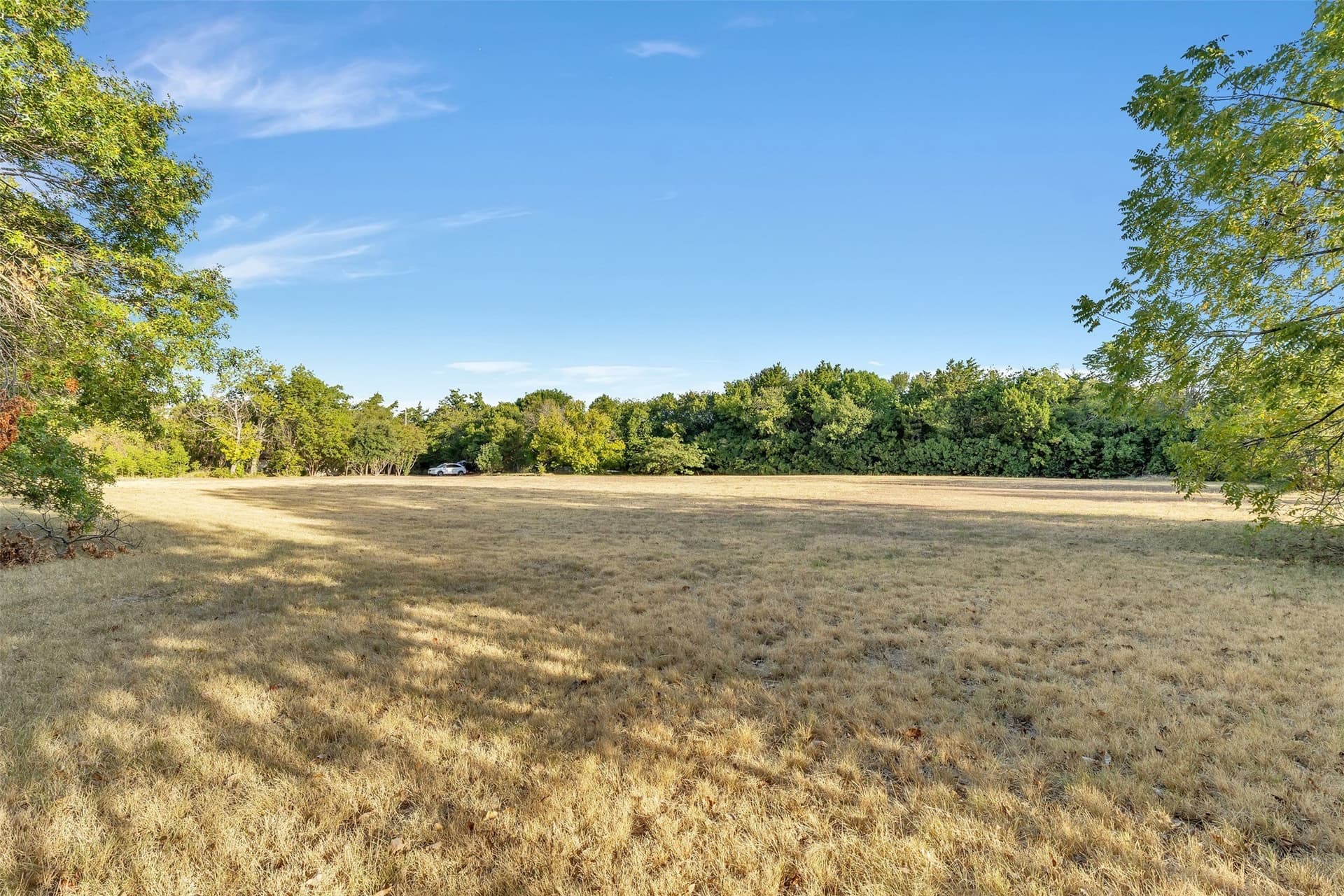 1.17 acres in Dallas County - photo 2