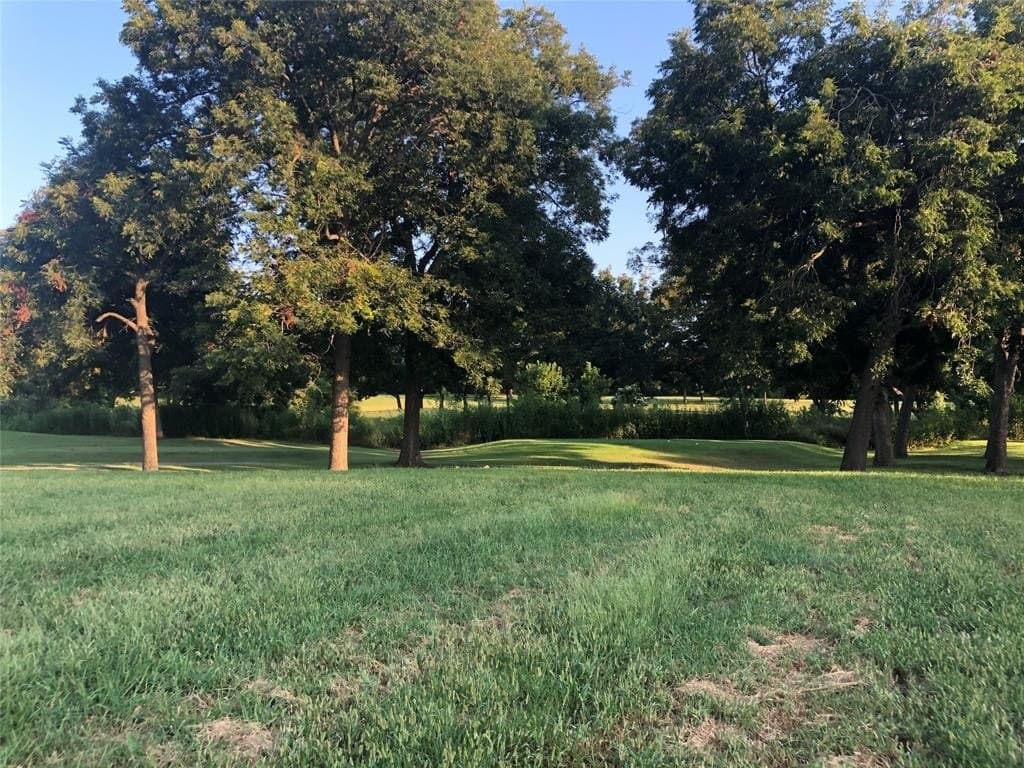 0.42 acres in Fannin County gallery image 3