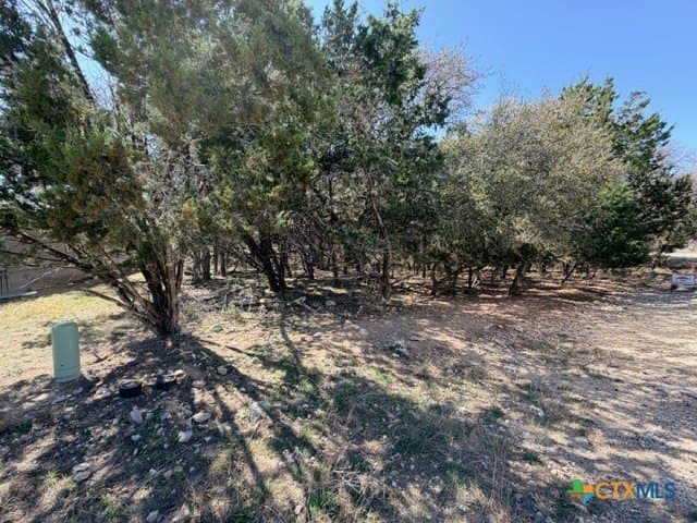 0.27 acres in Travis County - photo 8