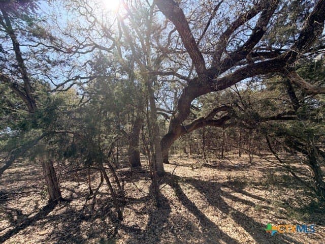 0.27 acres in Travis County - photo 7