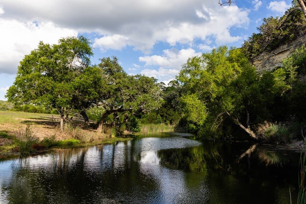 289.82 acres in Kerr County gallery image 4