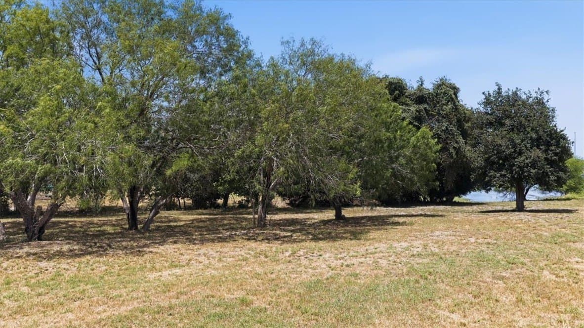 1.16 acres in Jim Wells County - photo 2