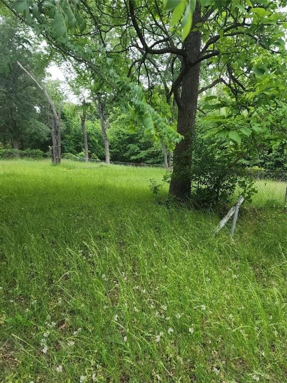 0.37 acres in Henderson County gallery image 3