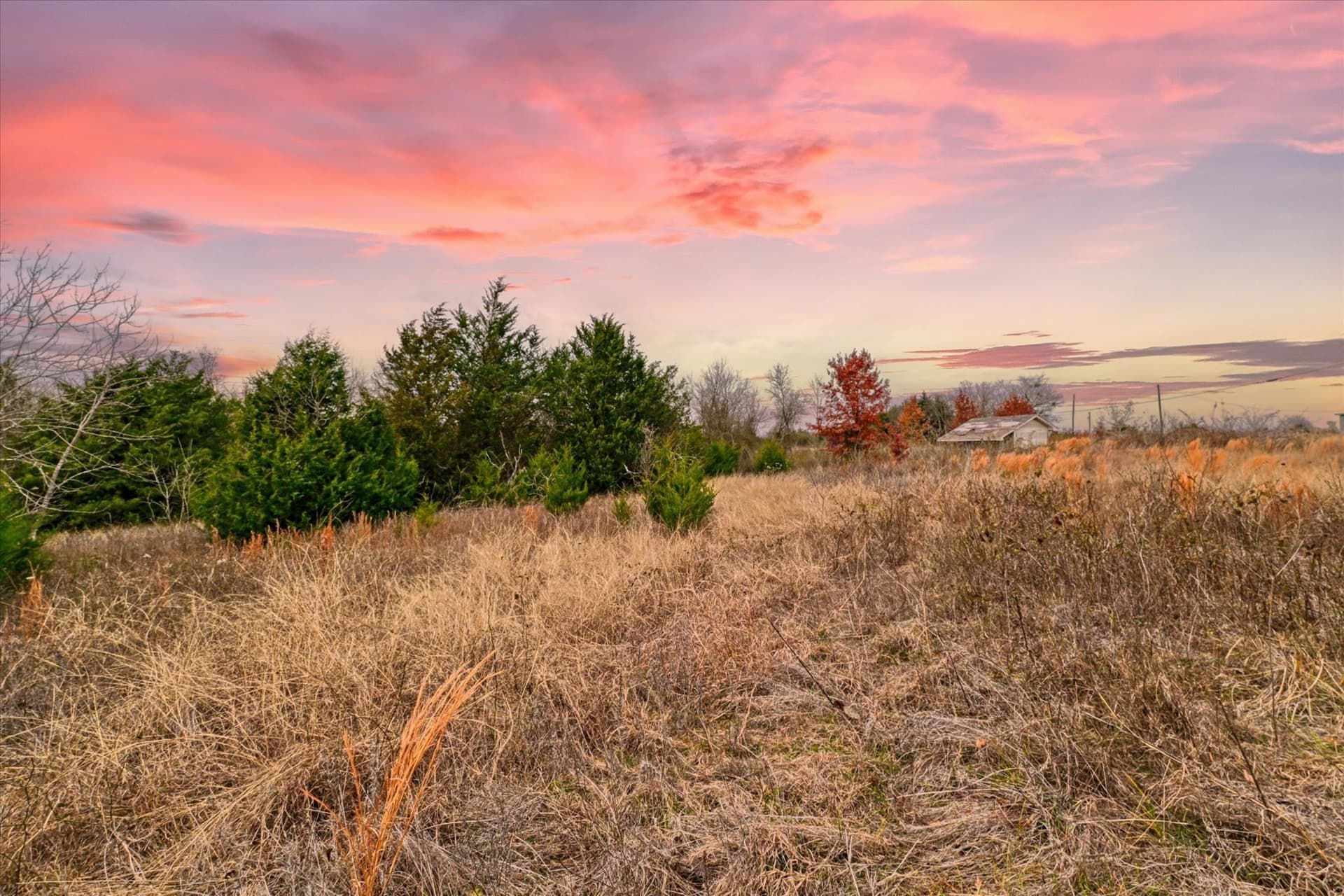 11.12 acres in Limestone County - photo 9