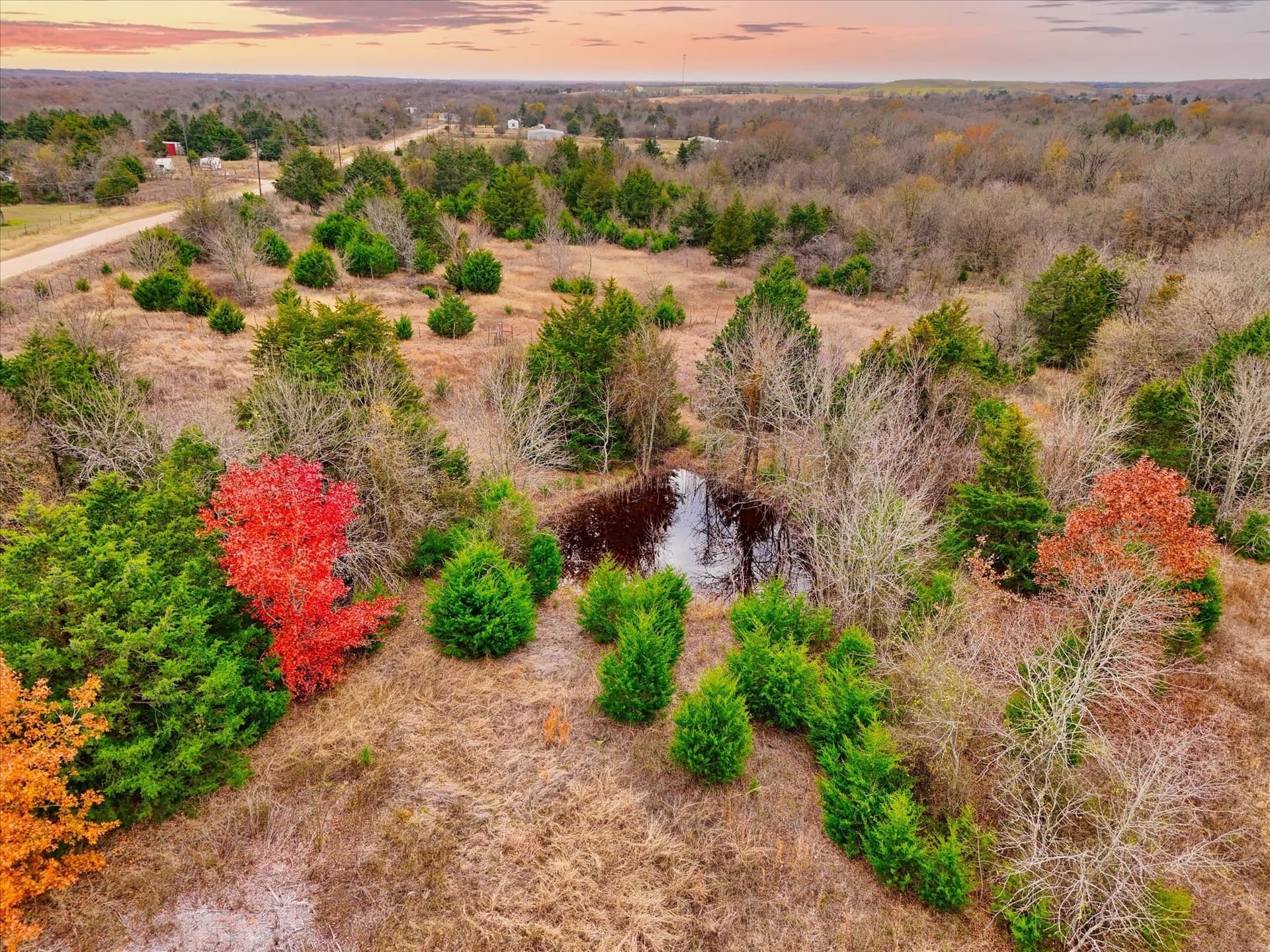 11.12 acres in Limestone County - photo 5