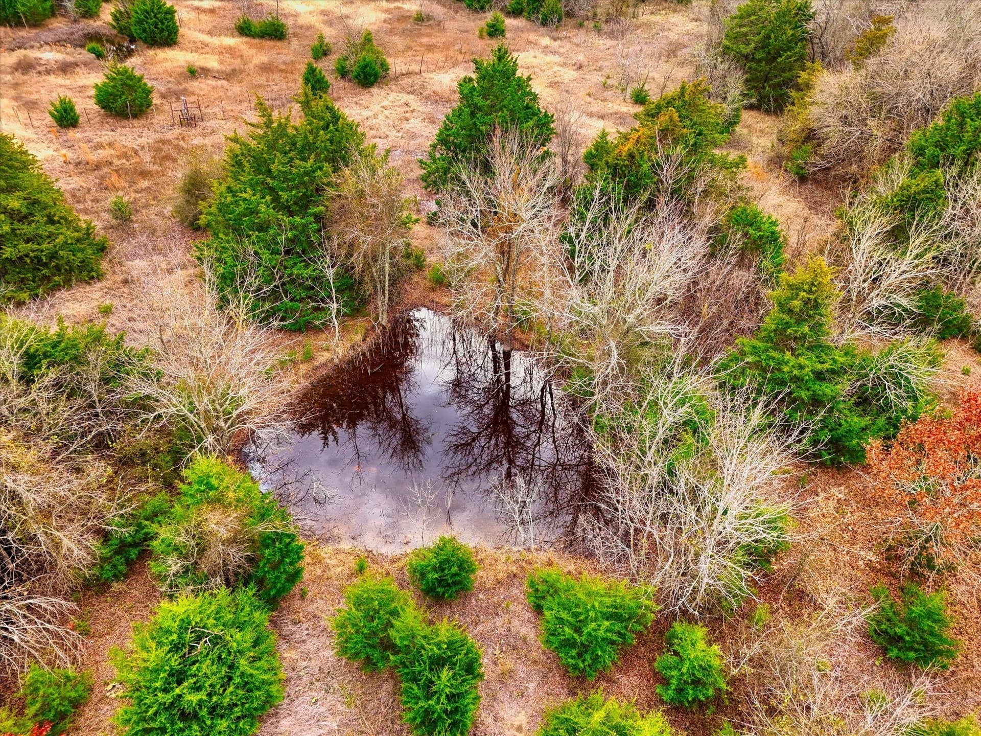 11.12 acres in Limestone County - photo 10