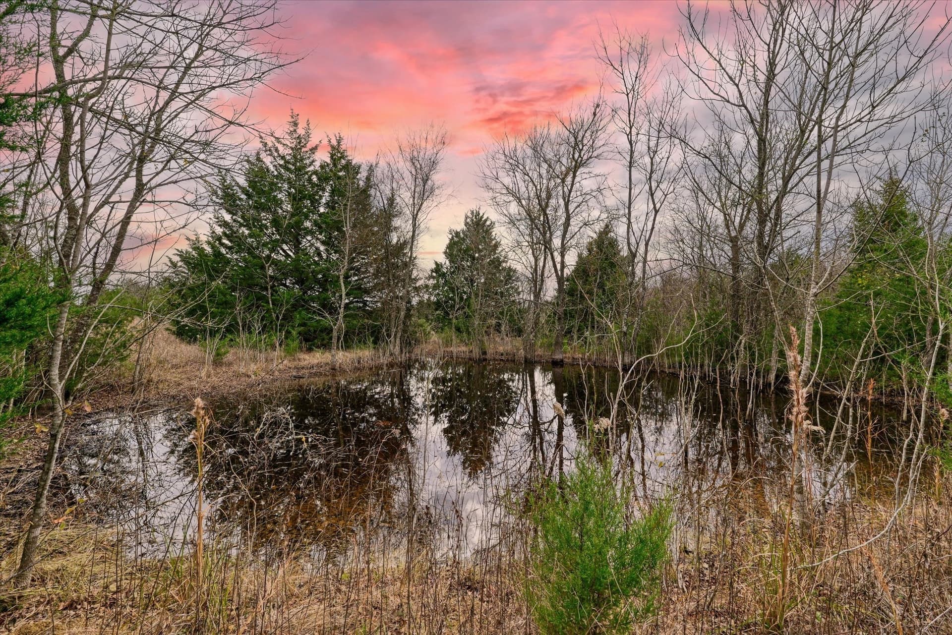 11.12 acres in Limestone County - photo 3